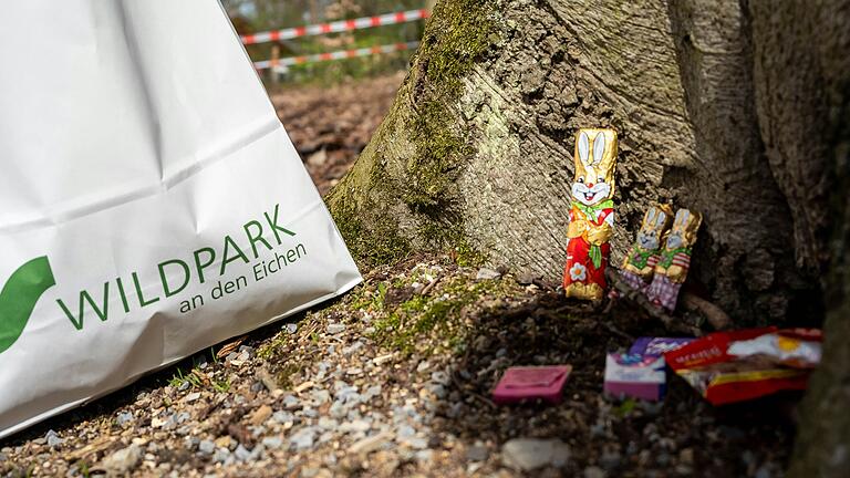 Am Ostersonntag steigt im Wildpark in Schweinfurt die große Ostereiersuche. Am Ostersonntag steigt im Wildpark in Schweinfurt die große Ostereiersuche. 