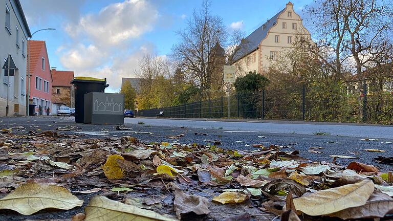 Nicht nur Gehsteige und Radwege müssen von Laub gereinigt werden. Auch Parkstreifen und teilweise die Straßen müssen von angrenzenden Eigentümern gekehrt werden. Nicht nur Gehsteige und Radwege müssen von Laub gereinigt werden. Auch Parkstreifen und teilweise die Straßen müssen von angrenzenden Eigentümern gekehrt werden.