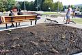 Die Pflanzbeete am neuen „Funpark 4 Seasons“ in Bischofsheim wurden am ersten Wochenende nach der Eröffnung in Mitleidenschaft gezogen. Der Bürgermeister bittet, sie nicht zu befahren, damit die Pflanzen eine Chance haben anzuwachsen.