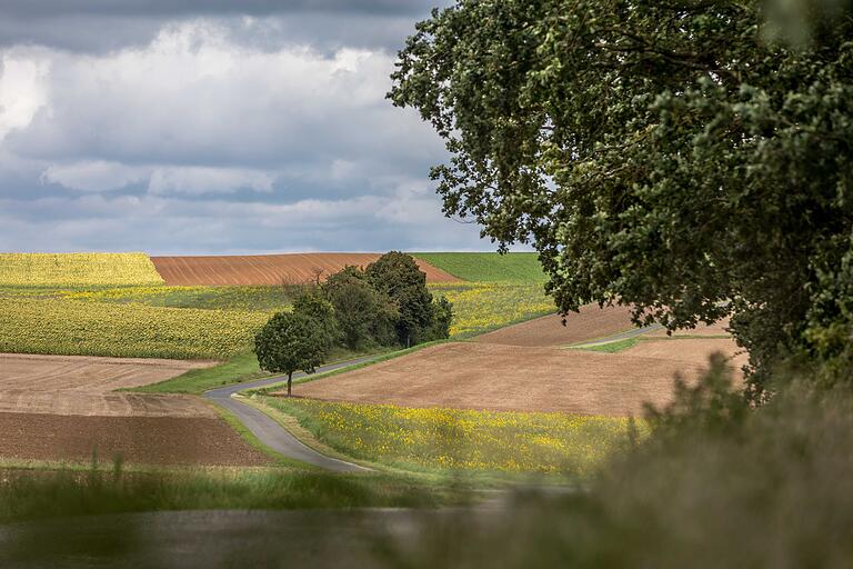 Unterwegs auf der vier Kilometer langen Wandertour ' H6 - Blauer Turm Himmelstadt': Bunt leuchten die Felder am Wegesrand.