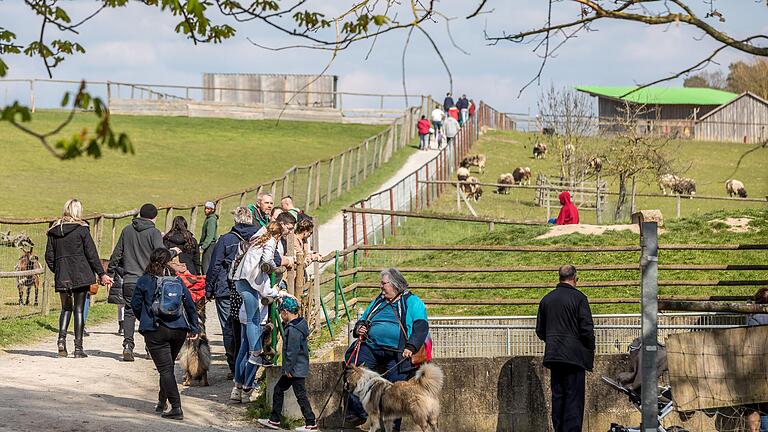 Der Tierpark Sommerhausen feiert am Wochenende sein 30-jähriges Bestehen mit einer 'Western City'-Party.