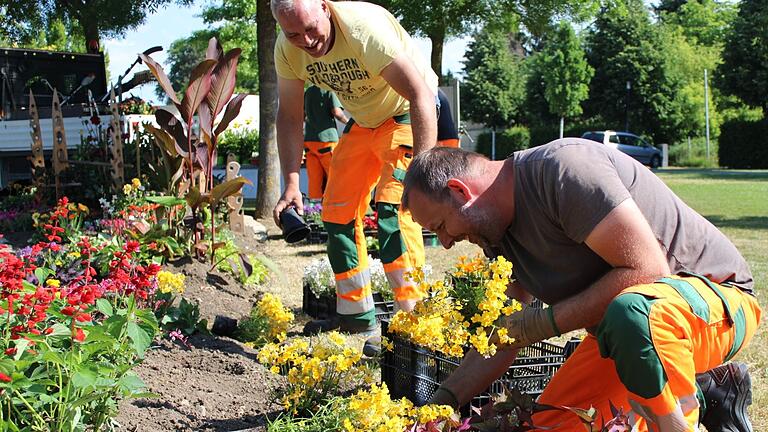 Die Mitarbeiter der Kitzinger Stadtgärtnerei Andreas Hunder und Ansgar Geiger verschönern die Beete am Gartenschaugelände mit neuen Blumen.