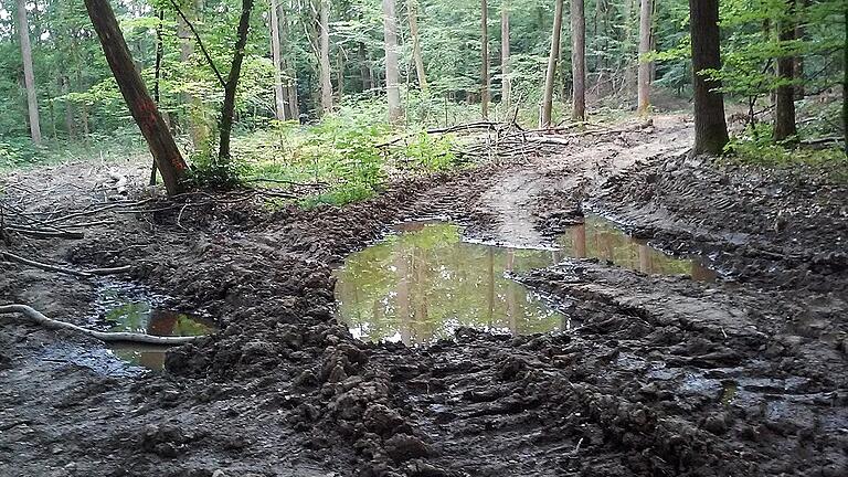 Unpassierbar und seiner Markierungen verlustig gegangen: So sah der zertifizierte Steigerwald-Panoramaweg bei dieser Aufnahme am 18. Mai oberhalb von Neuhausen aus, nachdem das hier im Januar geschlagene Holz Anfang Mai bei großer Feuchtigkeit mit schwerem Gerät herausgeholt worden war. Dabei war auch eindeutig die zur Schonung des restlichen Bodens dienende Rückegasse verlassen worden. Ein Baum (links) hatte sich im Nachhinein im aufgeweichten Boden bedenklich zur Seite geneigt. Er war erst dieser Tage entfernt worden.