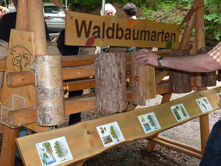 Beim Waldtag im Steigerwald-Zentrum gibt es viel zu entdecken. Beim Waldtag im Steigerwald-Zentrum gibt es viel zu entdecken. 