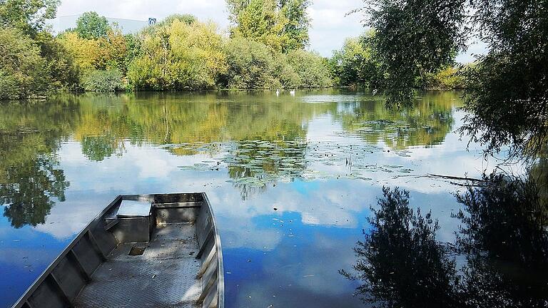 Idylle gleich neben der Trasse für die Sattelschlepper.