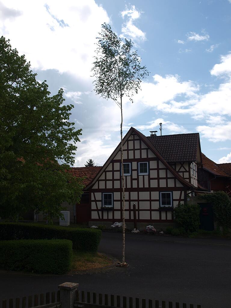 Der Maibaum am grünen Hain.