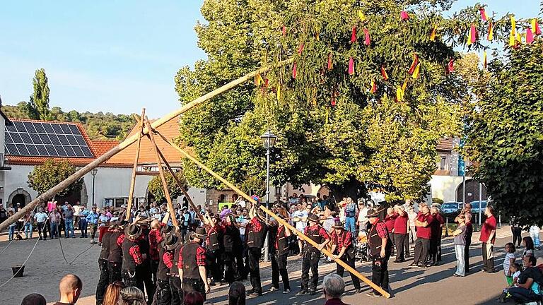 &bdquo;Backen aufblasen, das gibt Kraft&ldquo; &ndash; mit zwei Schwalben richteten die 19 Thüngener Kirchweihburschen die 20,40 Meter lange Fichte auf dem Planplatz auf, die zuvor im Gemeindewald geschlagen worden war. Die geschälte Fichte hat traditionell eine Krone, die mit gelben und roten Fähnchen &ndash; den Thüngener Farben &ndash; geschmückt ist.