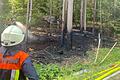 Was den Brand in einem Waldstück nahe der B303 ausgelöst hat, ist bislang nicht bekannt.