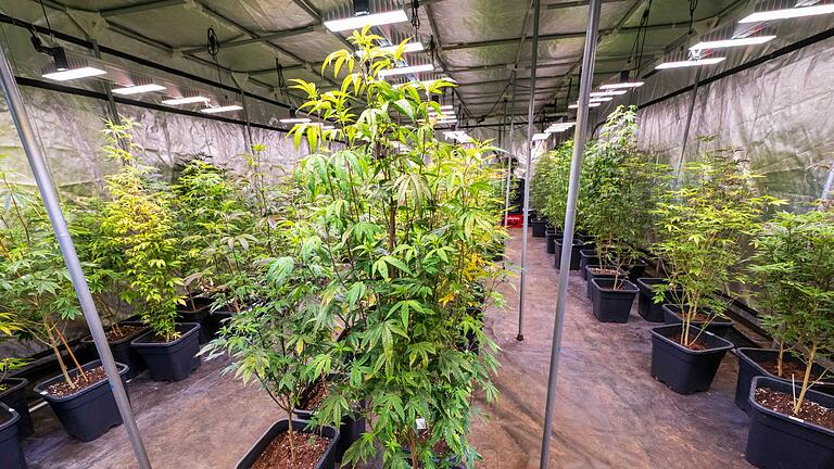 Cannabis-Club       -  29 Antragsteller warten in Bayern auf eine Genehmigung. (Archivbild)
