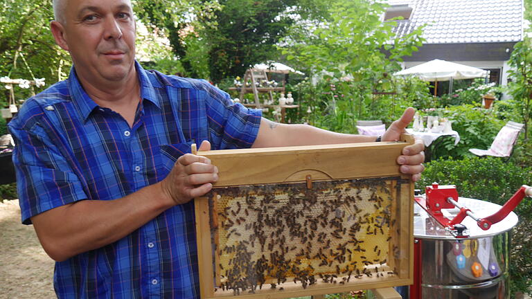 Objektkünstler am Werk: Stephan Jackwerth präsentierte zusammen mit Daniela Dürr Holzkunst und die erstaunliche Welt der Bienen.