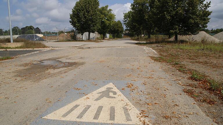 In einigen Jahren ist auch diese alte Straße in der früheren amerikanischen Ledward Kaserne weg. An ihrer Stelle ist dann der Bürgerpark der Landesgartenschau 2026, der auch die alten Bäume einbindet. In einigen Jahren ist auch diese alte Straße in der früheren amerikanischen Ledward Kaserne weg. An ihrer Stelle ist dann der Bürgerpark der Landesgartenschau 2026, der auch die alten Bäume einbindet.