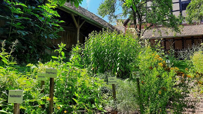 Unter dem Motto der „Natur auf der Spur“ finden im Freilandmuseum Kirchenburg Mönchsondheim in den Sommermonaten Vorführungen und Workshops für Erwachsene, Jugendliche und Kinder statt.