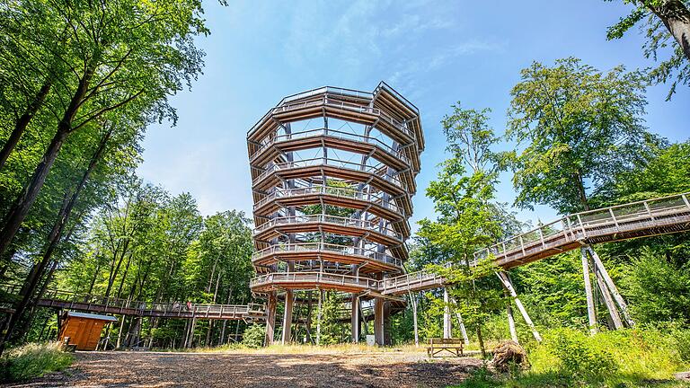 Das markanteste Bauteil des Baumwipfelpfads ist der gut 40 Meter hohe Turm. Wenngleich Politiker den Fortbestand zusichern, ist noch nicht geklärt, wer die als Besuchermagnet gedachte Einrichtung nach Juni 2024 betreiben wird. Das markanteste Bauteil des Baumwipfelpfads ist der gut 40 Meter hohe Turm. Wenngleich Politiker den Fortbestand zusichern, ist noch nicht geklärt, wer die als Besuchermagnet gedachte Einrichtung nach Juni 2024 betreiben wird.