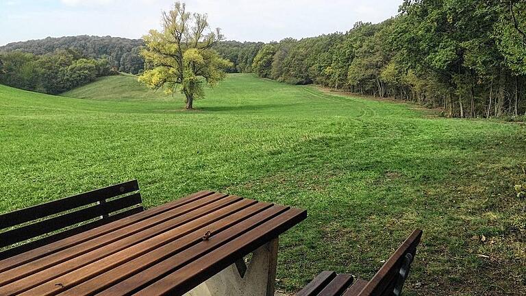 (huGO-ID: 29804285) TraumRunde Iphofen: Ein schönes Stück am Waldrand entlang. FOTO Sebelka