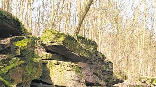 Attraktion: Die Wichtelhöhlen wurden Ende März 2010 vom Geologischen Landesamt Bayern als Geotop eingestuft. Attraktion: Die Wichtelhöhlen wurden Ende März 2010 vom Geologischen Landesamt Bayern als Geotop eingestuft.