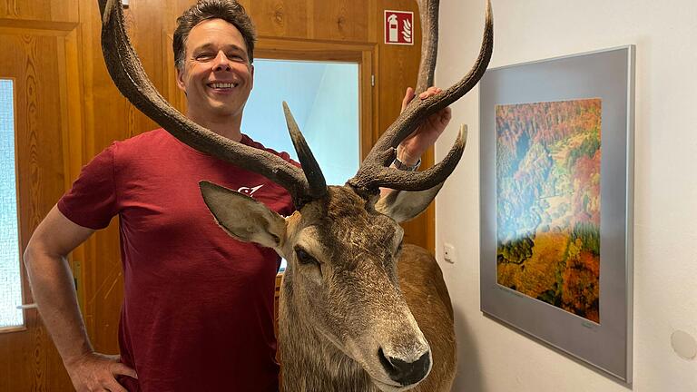 Überbleibsel aus der Ausstellung im Gemündener Huttenschloss, die seit Ende 2023 geschlossen ist, werden zurzeit im Büro des Naturparks ausgelagert – zum Beispiel dieser ausgestopfte Hirsch. Überbleibsel aus der Ausstellung im Gemündener Huttenschloss, die seit Ende 2023 geschlossen ist, werden zurzeit im Büro des Naturparks ausgelagert – zum Beispiel dieser ausgestopfte Hirsch.