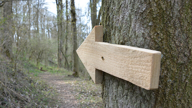 Anhand der Pfeile, die am Parcours angebracht sind, kann man sich genau orientieren. Anhand der Pfeile, die am Parcours angebracht sind, kann man sich genau orientieren.