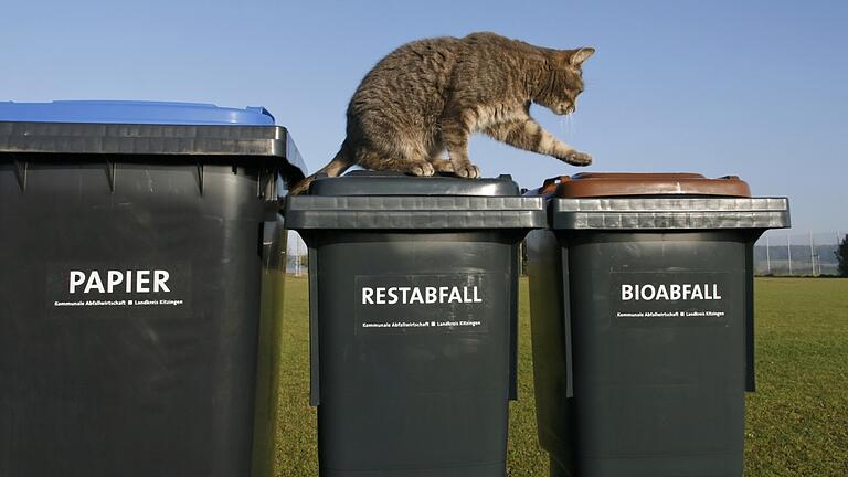 Die Gebühren für Restmüll im Main-Tauber-Kreis steigen – die für Biomüll bleiben gleich.