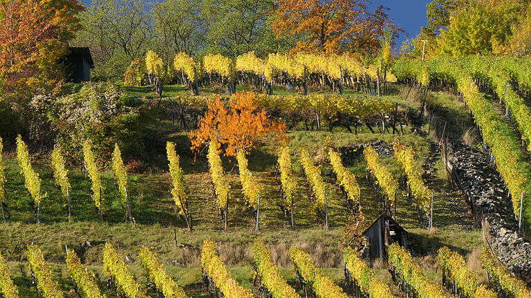Im Maustal bei Sulzfeld