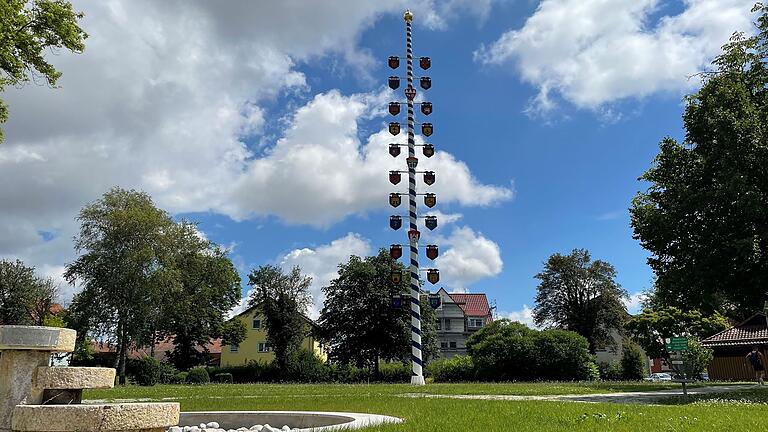 An dem Zunftbaum sind 25 Schilder angebracht. Neben Stadt, Bezirk und Landkreis finden sich 22 Gewerke darauf wieder.