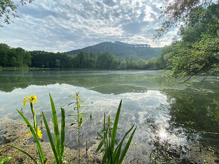 Der Klostersee Triefenstein bei Trennfeld ist im Frühling mit einem Film aus Blütenstaub bedeckt. Der Klostersee Triefenstein bei Trennfeld ist im Frühling mit einem Film aus Blütenstaub bedeckt.