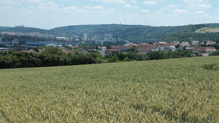 Zell: Grünflächen am Ortsrand mit Blickkontakt zur Festung und Frankenwarte sollen im geänderten Flächennutzungsplan der Gemeinde als Wohnflächen vorgesehen werden. Zell: Grünflächen am Ortsrand mit Blickkontakt zur Festung und Frankenwarte sollen im geänderten Flächennutzungsplan der Gemeinde als Wohnflächen vorgesehen werden.
