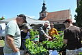 Im Schatten der Ostheimer Kirchenburg gab es vielseitige Pflanzenangebote.