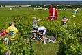 UCI WorldTour -  Tour de France       -  Der belgische Etappensieger Remco Evenepoel fährt durch die Weinberge.