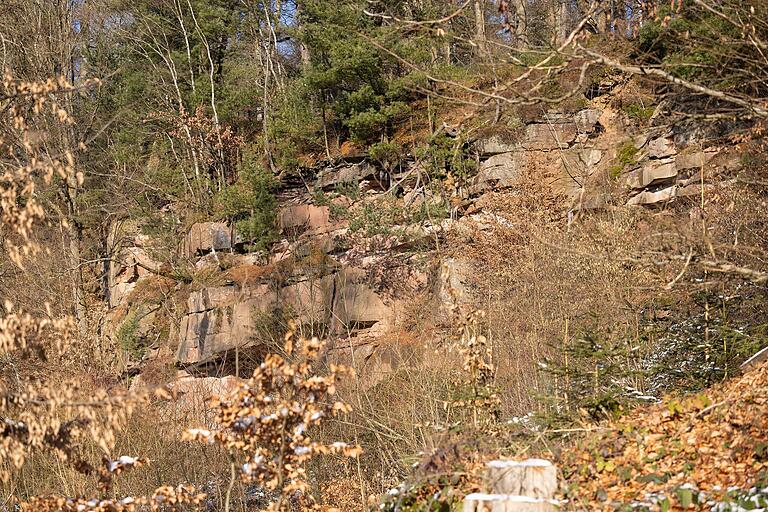 Mit seinen Abbruchkanten, Felswänden und Nischen bietet der stillgelegte Steinbruch vielen Tieren und Pflanzen Lebensraum. Mit seinen Abbruchkanten, Felswänden und Nischen bietet der stillgelegte Steinbruch vielen Tieren und Pflanzen Lebensraum.