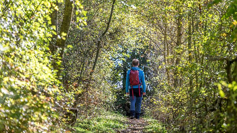 Unterwegs auf dem rund neun Kilometer langen Wanderweg 'Ums Mahlholz' rund um Gerolzhofen. Nach dem Jüdischen Friedhof geht es auf einem schmalen Pfad weiter. Unterwegs auf dem rund neun Kilometer langen Wanderweg 'Ums Mahlholz' rund um Gerolzhofen. Nach dem Jüdischen Friedhof geht es auf einem schmalen Pfad weiter.