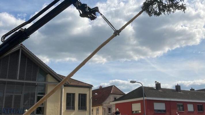 Der Maibaum, den die Feuerwehr&nbsp;Kreuzwertheim am 30. April aufstellte, kann bis heute nicht gekappt werden.