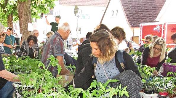 Großer Andrang herrschte bei der grünen Tauschbörse in Untererthal, wo das halbe Dorf auf den Beinen war. In der angrenzenden Judengasse lockte zudem ein Flohmarkt die Besucher.       -  Großer Andrang herrschte bei der grünen Tauschbörse in Untererthal, wo das halbe Dorf auf den Beinen war. In der angrenzenden Judengasse lockte zudem ein Flohmarkt die Besucher.