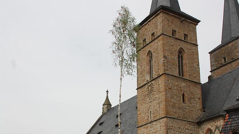 Seit Freitagmorgen steht der Maibaum wieder auf dem Gerolzhöfer Marktplatz.