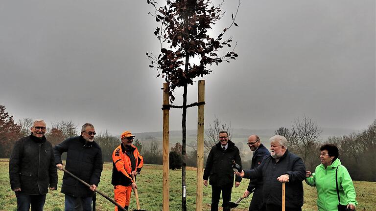 Bei der Pflanzaktion des Eigenheimerbundes Veitshöchheim  für den Jahresbaum 2022 dabei (v.l.) Bauhofleiter Rudi Köhler, Schatzmeister Eberhard Riermaier, Gemeindegärtner Ralf Emmerling, Bürgermeister Jürgen Götz, 1. Vorsitzender Steffen Lutz und die Baumspender Oswald und Franziska Bamberger.