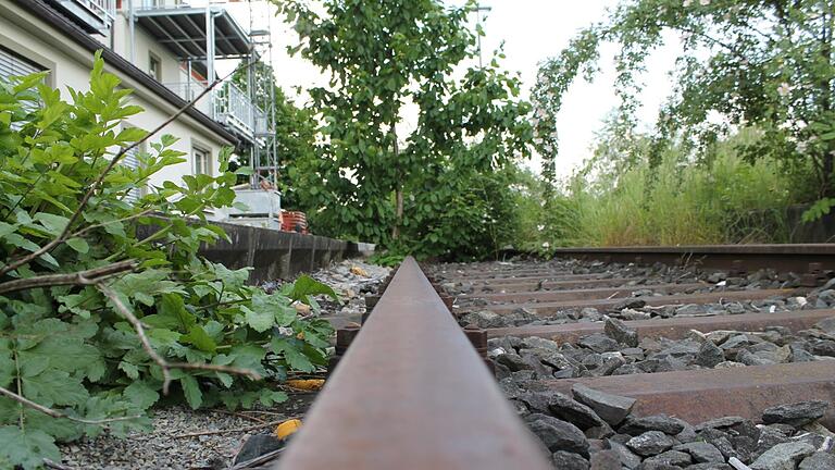 Das Grundstück, auf dem zwischen Sennfeld und Großlangheim die Schwellen und Gleise der 'Steigerwaldbahn' liegen, wurde von der Deutschen Bahn abgestoßen.