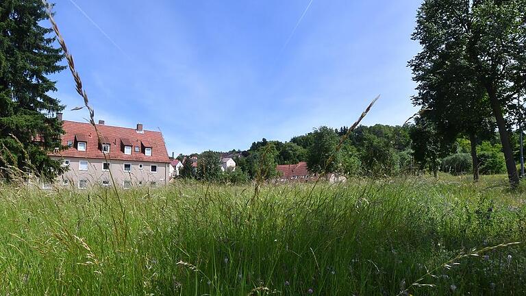 Auf einer Grünfläche am Eingang zum Bärental soll ein Wohnhaus für anerkannte Flüchtlinge gebaut werden.