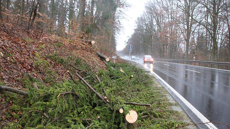 An der 'Hainbuche' bei Obereschenbach fiel am Freitagabend ein Baum auf die B 27. Foto: Ralf Ruppert       -  An der 'Hainbuche' bei Obereschenbach fiel am Freitagabend ein Baum auf die B 27. Foto: Ralf Ruppert