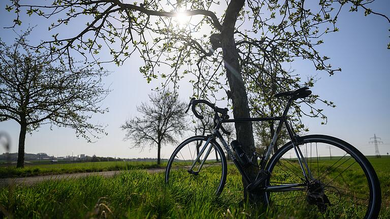 Die Alte Reichsstraße bei Iphofen im Landkreis Kitzingen ist gesäumt von Obstbäumen. Im Frühling eine lohnende Gegend für eine erste Radtour der Saison.&nbsp;