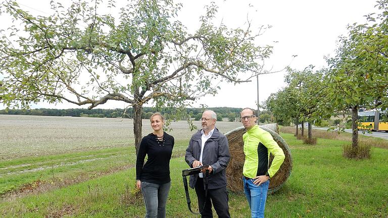Die Streuobstwiese am Lindnershof bei Weyer gehört zum Straßenbegleitgrün. Über die Maßnahmen zur ökologischen Aufwertung informierten Projektleiterin Theresa Spengler, Amtsleiter Michael Fuchs und Abteilungsleiter Alexander Schlegel vom Staatlichen Bauamt Schweinfurt (Bild von links). Die Streuobstwiese am Lindnershof bei Weyer gehört zum Straßenbegleitgrün. Über die Maßnahmen zur ökologischen Aufwertung informierten Projektleiterin Theresa Spengler, Amtsleiter Michael Fuchs und Abteilungsleiter Alexander Schlegel vom Staatlichen Bauamt Schweinfurt (Bild von links).