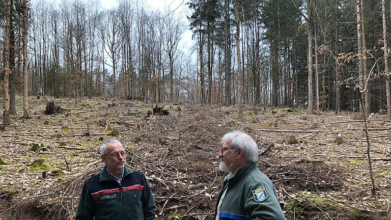 Herbert Geßner (links) im Gespräch mit Jürgen Hahn. Das Foto entstand im März 2023 im Wald von Eyershausen. Ein halbes Jahr später gibt es wegen des Borkenkäferbefalls gar keine Fichten mehr. Herbert Geßner (links) im Gespräch mit Jürgen Hahn. Das Foto entstand im März 2023 im Wald von Eyershausen. Ein halbes Jahr später gibt es wegen des Borkenkäferbefalls gar keine Fichten mehr. 