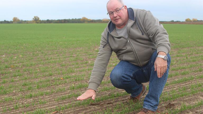 Bereits gesät hat Landwirt der Abtswinder Holger Lenz. Er hat seine Flächen komplett auf biologischen Anbau umgestellt.