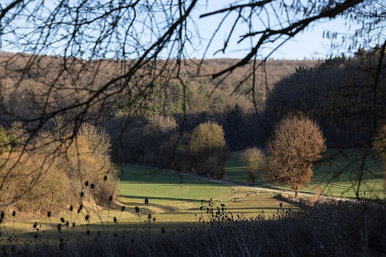 Die kleine Wandertour vereint auf spannende Weise Natur und Geschichte.