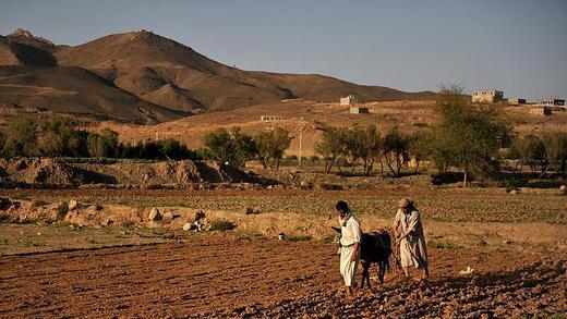 Dürre       -  Magere Ernte im Jemen - eine Hungersnot droht. Weltweit leiden rund 870 Millionen Menschen an Hunger. Foto: Yahya Arhab/ Archiv