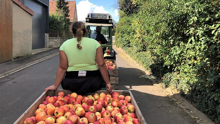 Von 13 bis 14 Uhr halten die Erntehelfer Mittagspause. Hier fahren sie auf den Obstkisten sitzend zurück zum Hof.