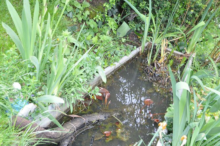 Eine alte Zinkbadewanne bringt das Element Wasser in den Garten. Eine alte Zinkbadewanne bringt das Element Wasser in den Garten.