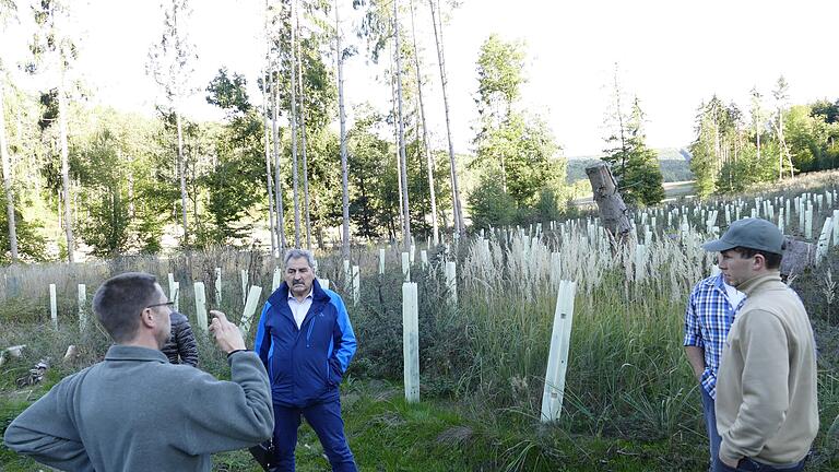 Mit großem Aufwand wird derzeit im Thüngener Unterholz am Seliggraben ein Waldstück wiederaufgeforstet, das durch Windbruch und Borkenkäferbefall gerodet werden musste.