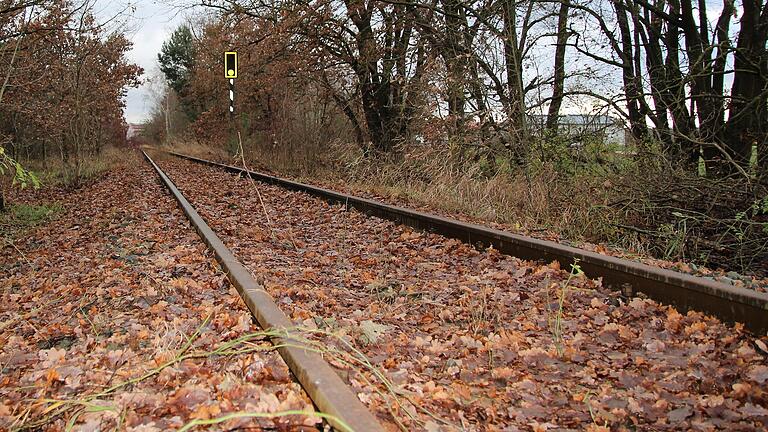 Die Trasse der ehemaligen Steigerwaldbahn. Was damit werden soll, ist politisch weiterhin umstritten. Die Trasse der ehemaligen Steigerwaldbahn. Was damit werden soll, ist politisch weiterhin umstritten.