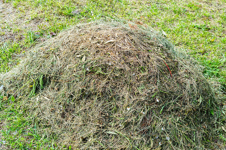 Rasenschnitt ist zu schade für die Biotonne! Rasenschnitt sollte lieber als Mulchmaterial für das Gemüsebeet oder für den Kompost genutzt werden. Rasenschnitt ist zu schade für die Biotonne! Rasenschnitt sollte lieber als Mulchmaterial für das Gemüsebeet oder für den Kompost genutzt werden.