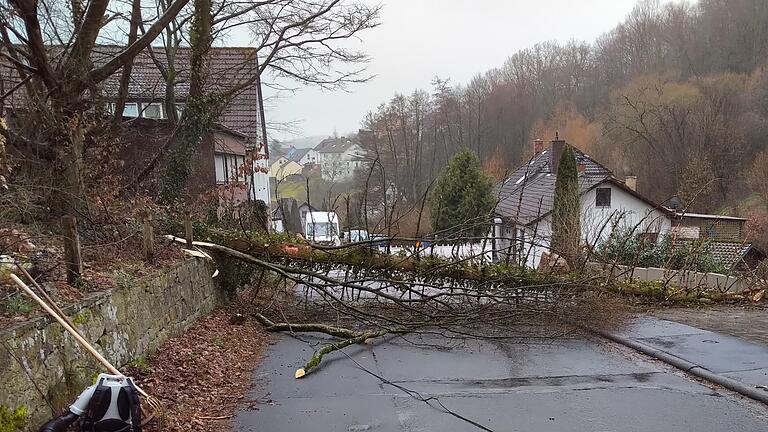Der Bauhof hat in der Leimbachstraße einen Baum gefällt. Foto: Michael Krug - Der Bauhof hat in der Leimbachstraße einen Baum gefällt. Foto: Michael Krug Der Bauhof hat in der Leimbachstraße einen Baum gefällt. Foto: Michael Krug - Der Bauhof hat in der Leimbachstraße einen Baum gefällt. Foto: Michael Krug