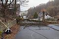 Der Bauhof hat in der Leimbachstraße einen Baum gefällt. Foto: Michael Krug       -  Der Bauhof hat in der Leimbachstraße einen Baum gefällt. Foto: Michael Krug